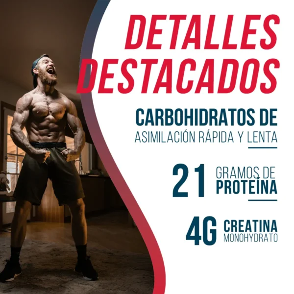 GANADOR DE PESO THE BEAST MASS GAINER 2KG Choco Hazelnut - Imagen 3